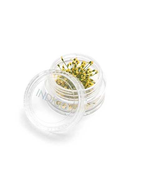 Suszone Kwiaty Żółte