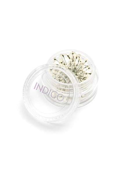 Suszone Kwiaty Białe