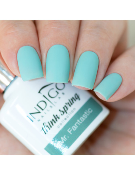 Mr. Fantastic Gel Polish