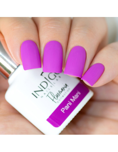 Pani Mani Gel Polish