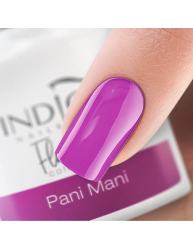 Pani Mani Gel Polish