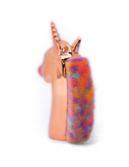 Unicorn brush rainbow